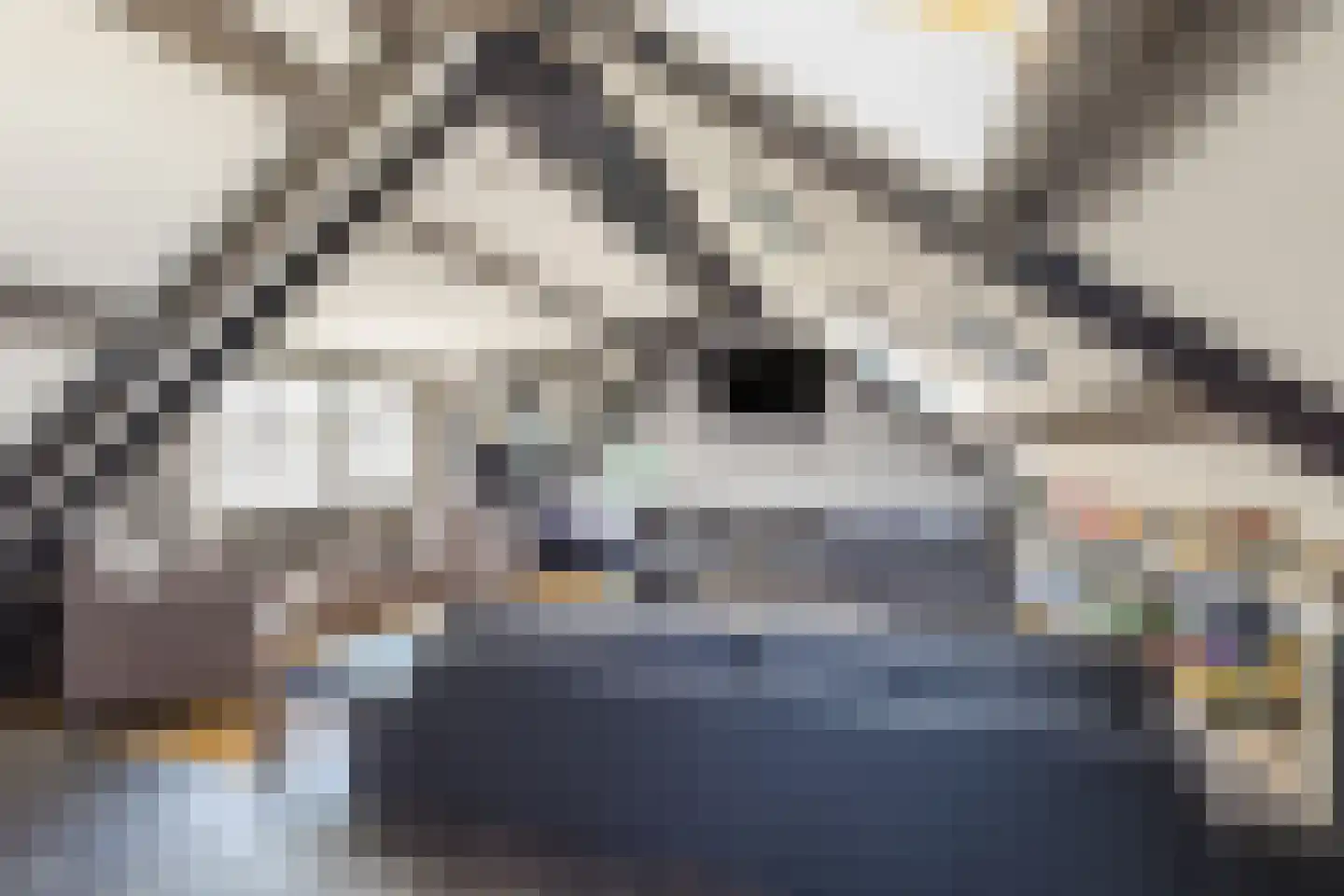 Spoorstraat 36 Ruurlo thumbnail 58