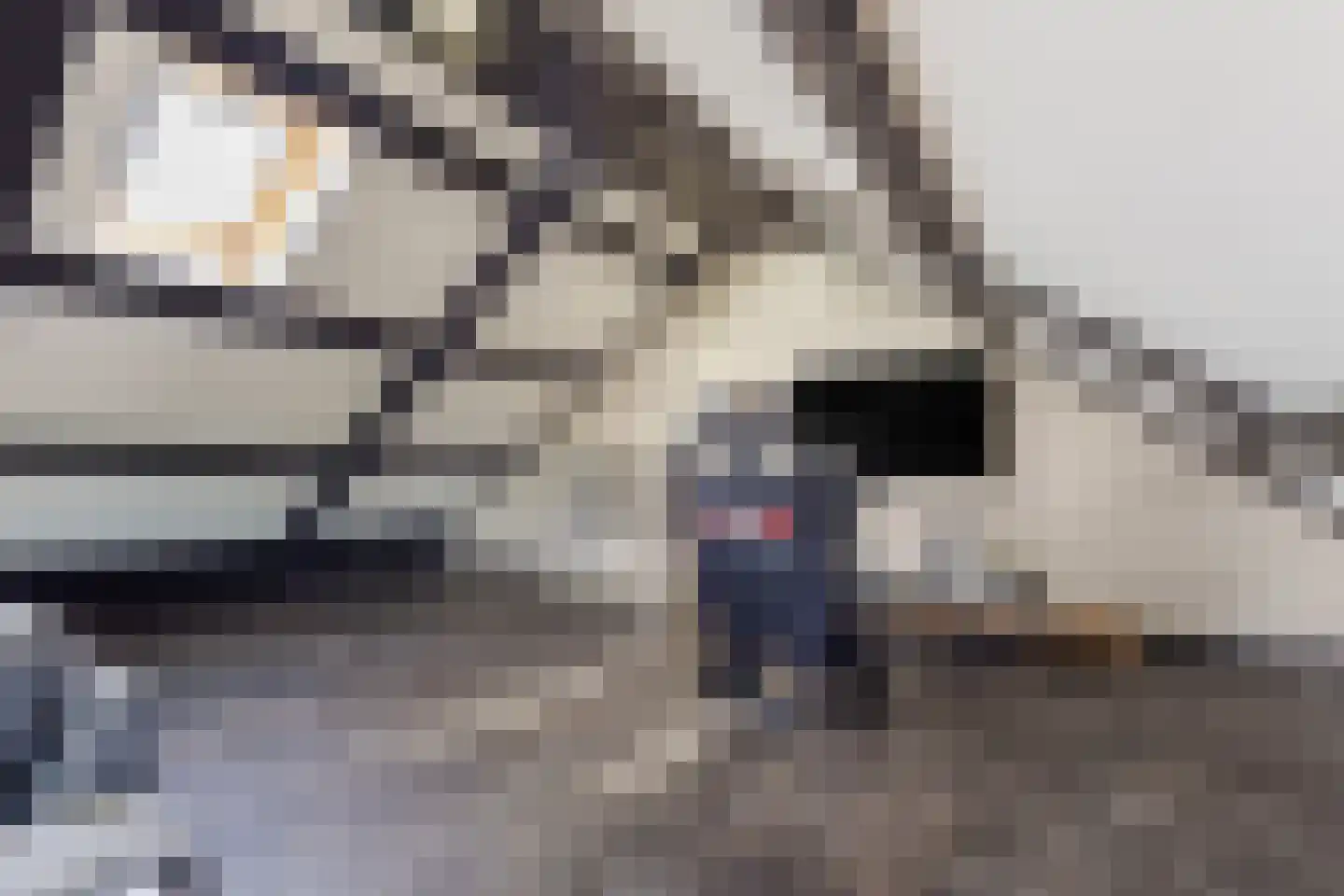 Spoorstraat 36 Ruurlo thumbnail 60