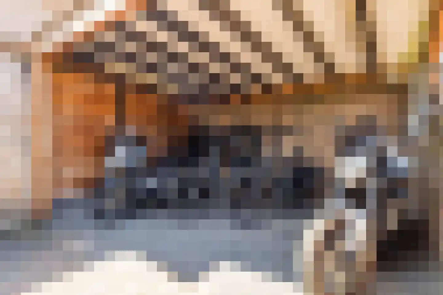 Spoorstraat 36 Ruurlo thumbnail 64