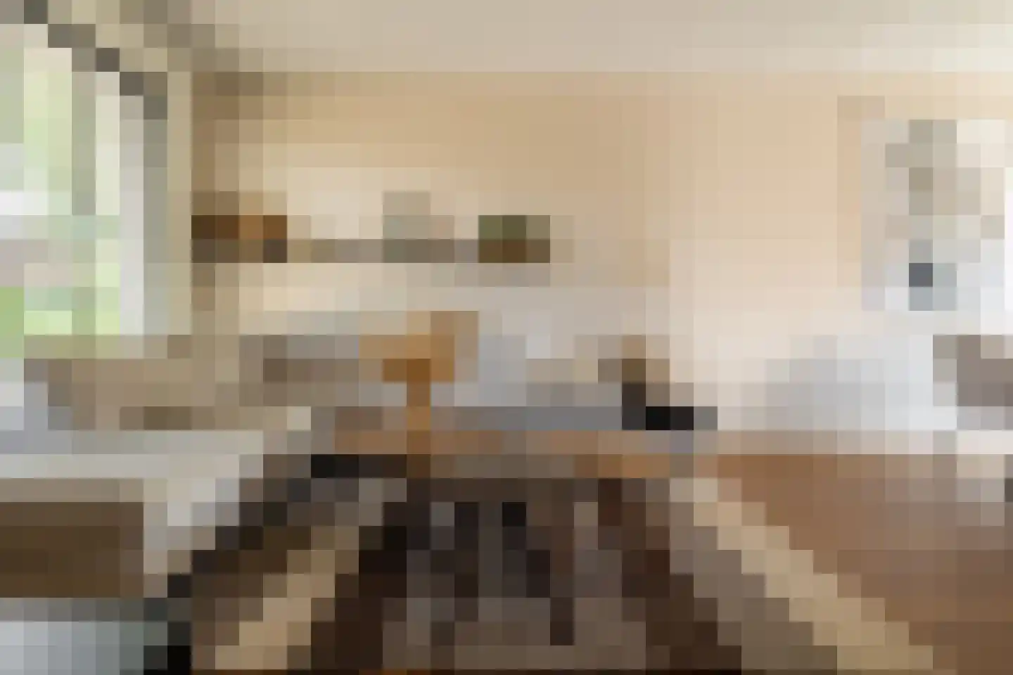 Spoorstraat 37 Dorst thumbnail 4