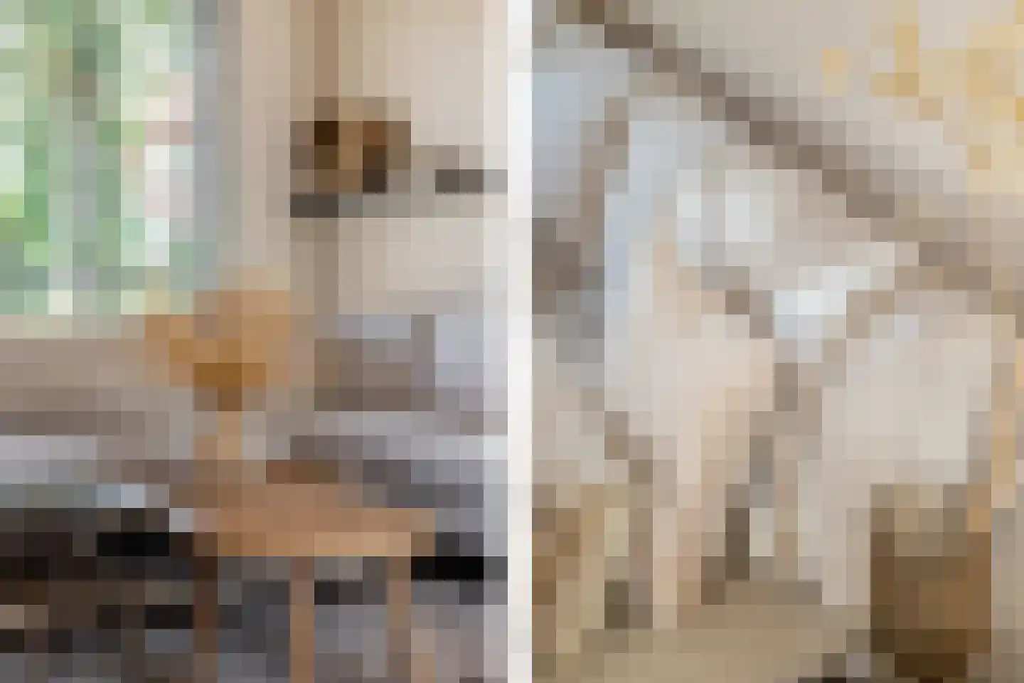 Spoorstraat 37 Dorst thumbnail 6
