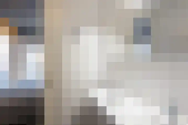 Spoorstraat 38 g Haaksbergen thumbnail 21