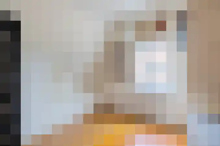 Spoorstraat 39 Hooge Zwaluwe thumbnail 33
