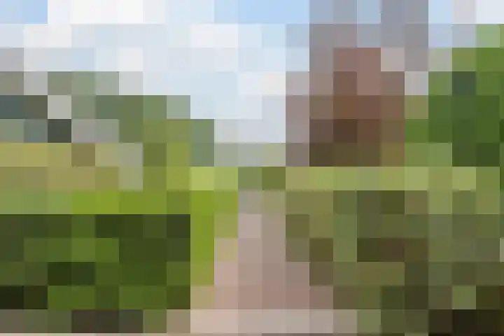 Spoorstraat 39 Hooge Zwaluwe thumbnail 36