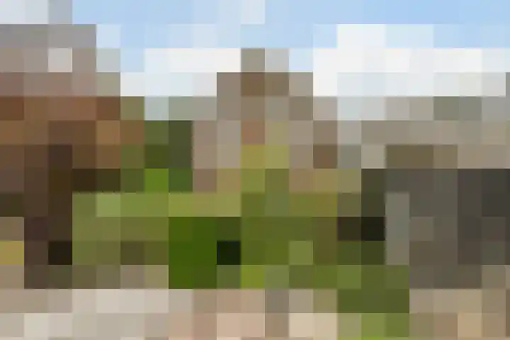 Spoorstraat 39 Hooge Zwaluwe thumbnail 38
