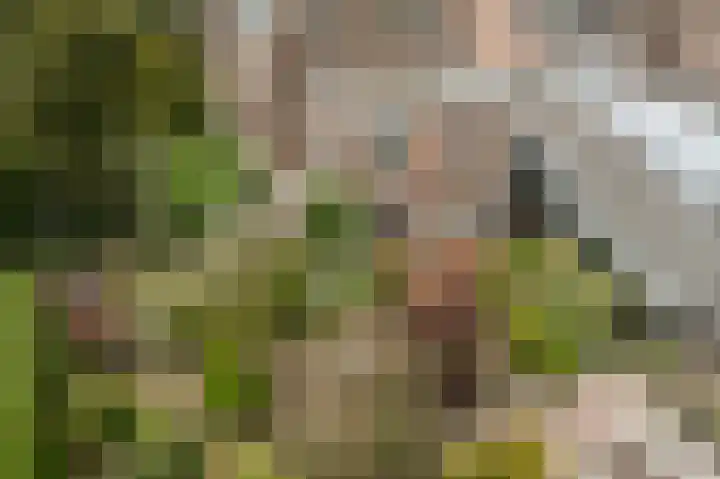 Spoorstraat 39 Hooge Zwaluwe thumbnail 43