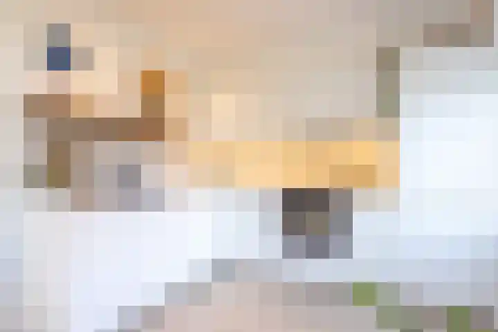 Spoorstraat 4 Brunssum thumbnail 12