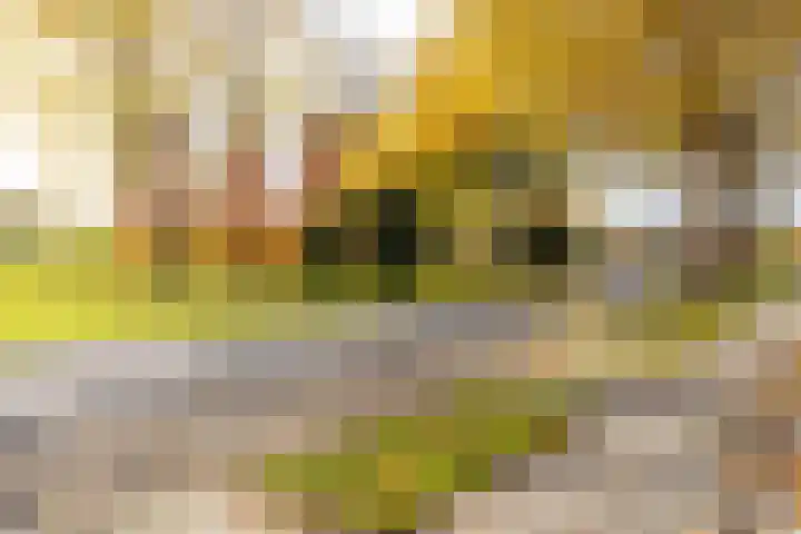 Spoorstraat 4 Brunssum thumbnail 5