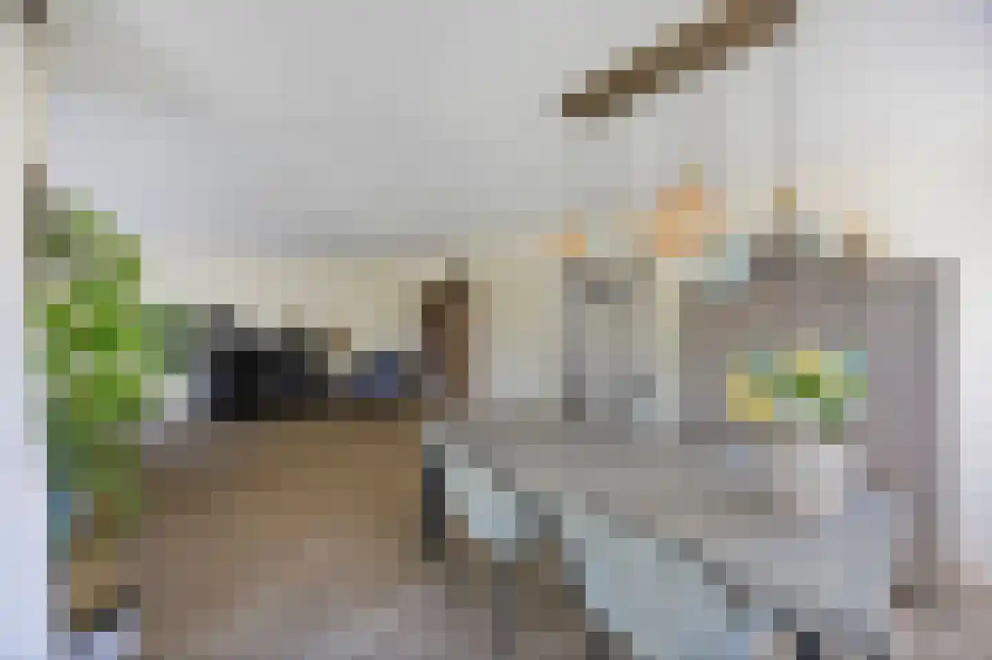 Spoorstraat 4 Echt thumbnail 17