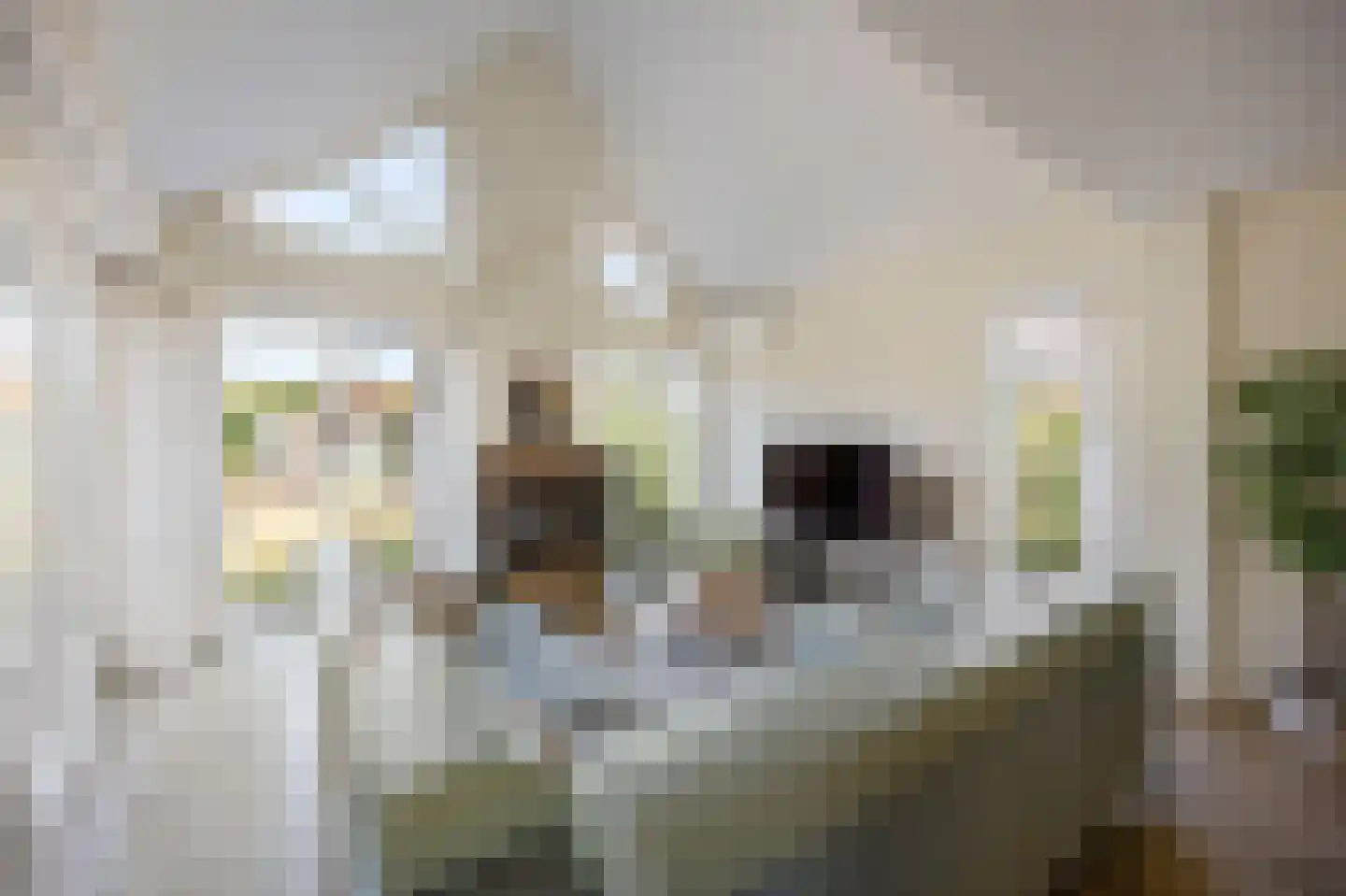 Spoorstraat 4 Echt thumbnail 18
