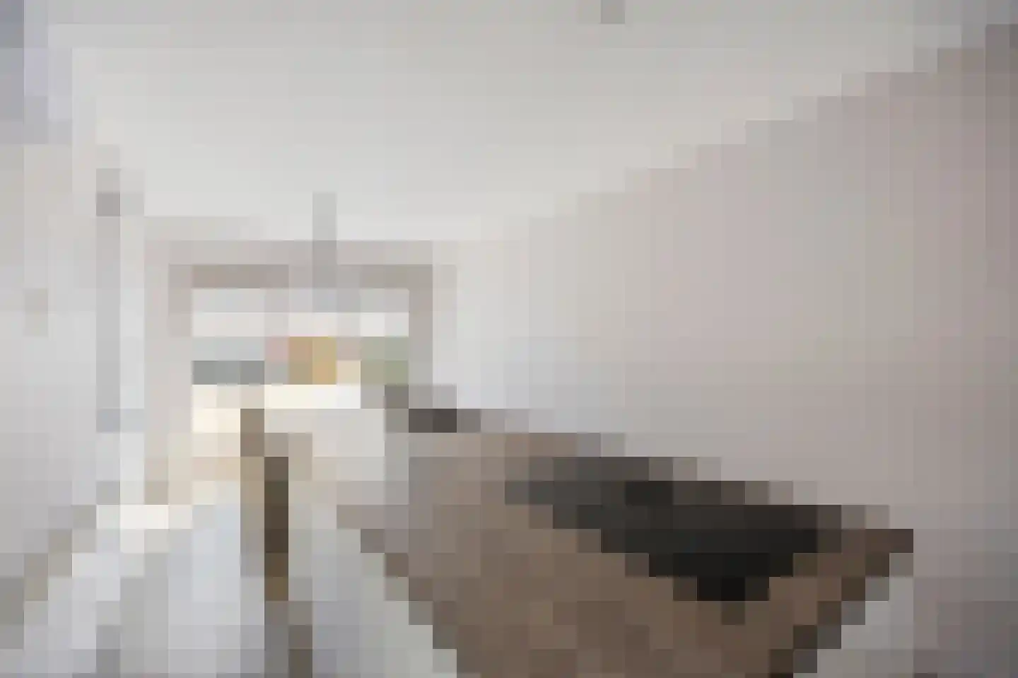 Spoorstraat 4 Echt thumbnail 25