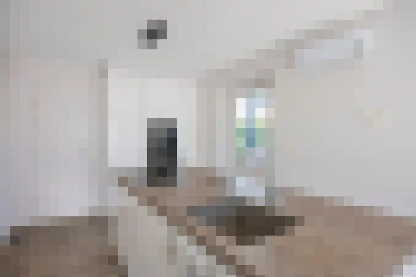 Spoorstraat 4 Echt thumbnail 28