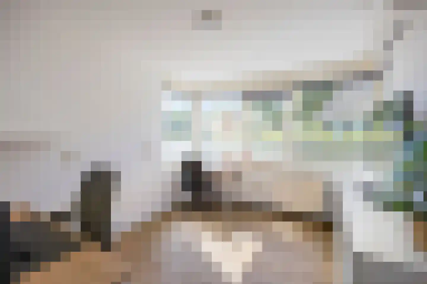 Spoorstraat 4 Echt thumbnail 32