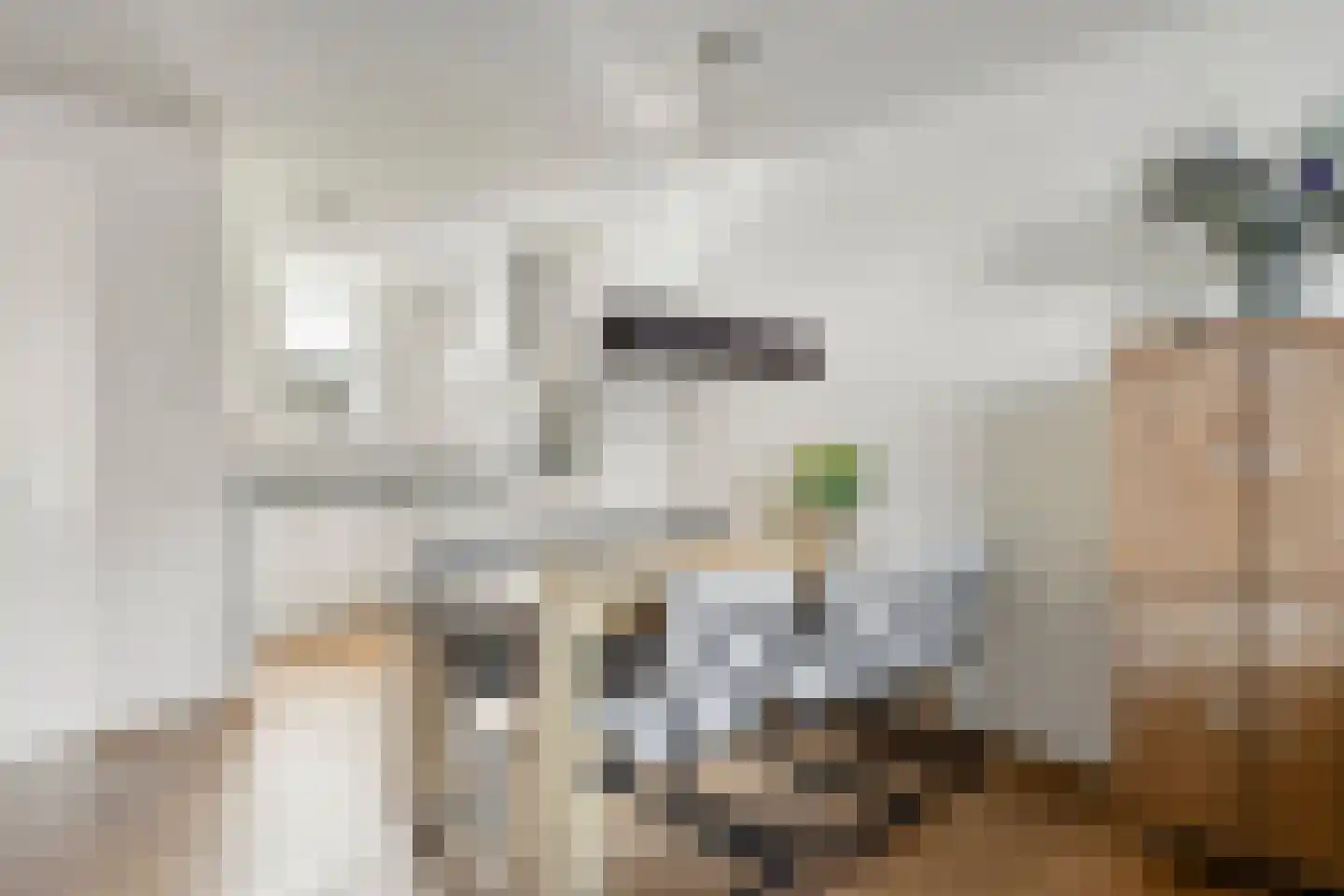Spoorstraat 4 Grubbenvorst thumbnail 13