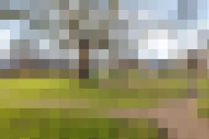 Spoorstraat 4 Zwolle thumbnail 29