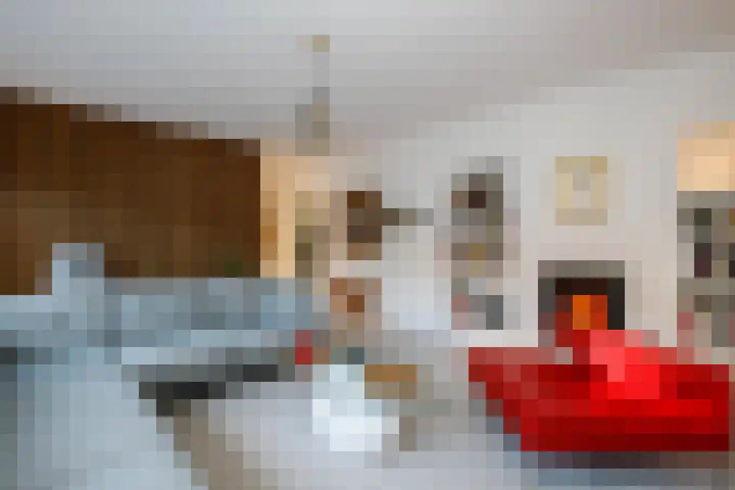 Spoorstraat 40 Schoonhoven thumbnail 12