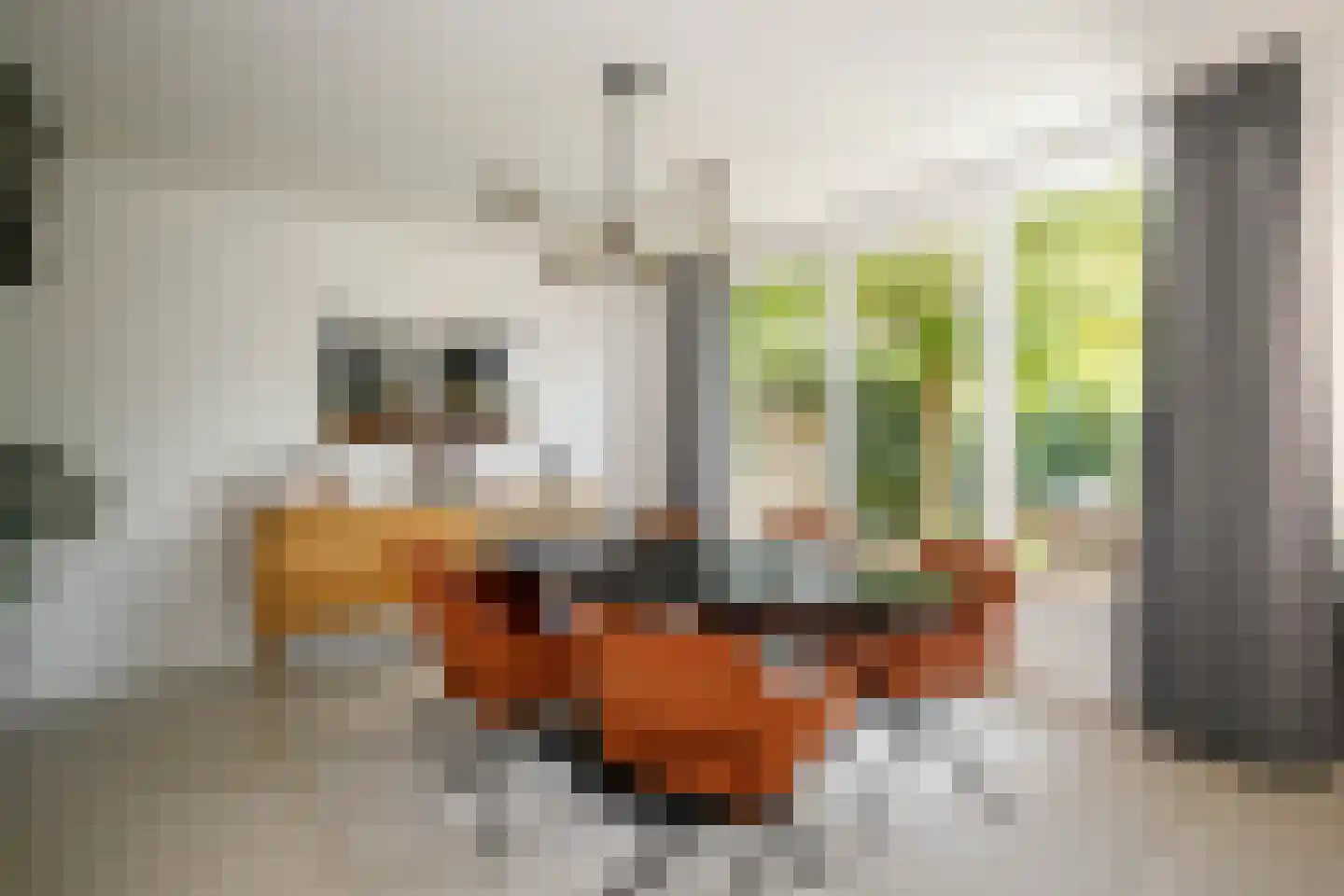 Spoorstraat 40 Schoonhoven thumbnail 13