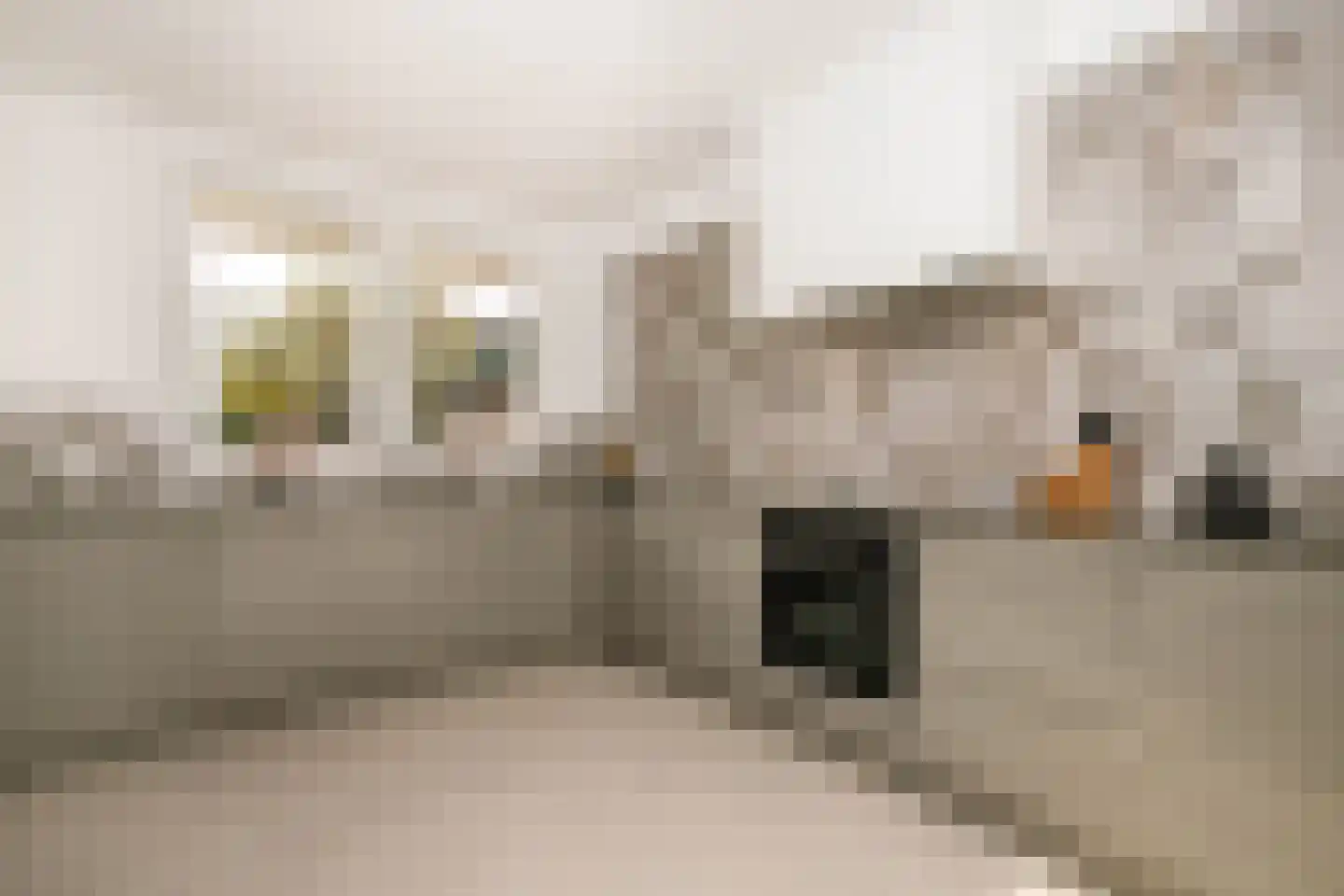 Spoorstraat 40 Schoonhoven thumbnail 15