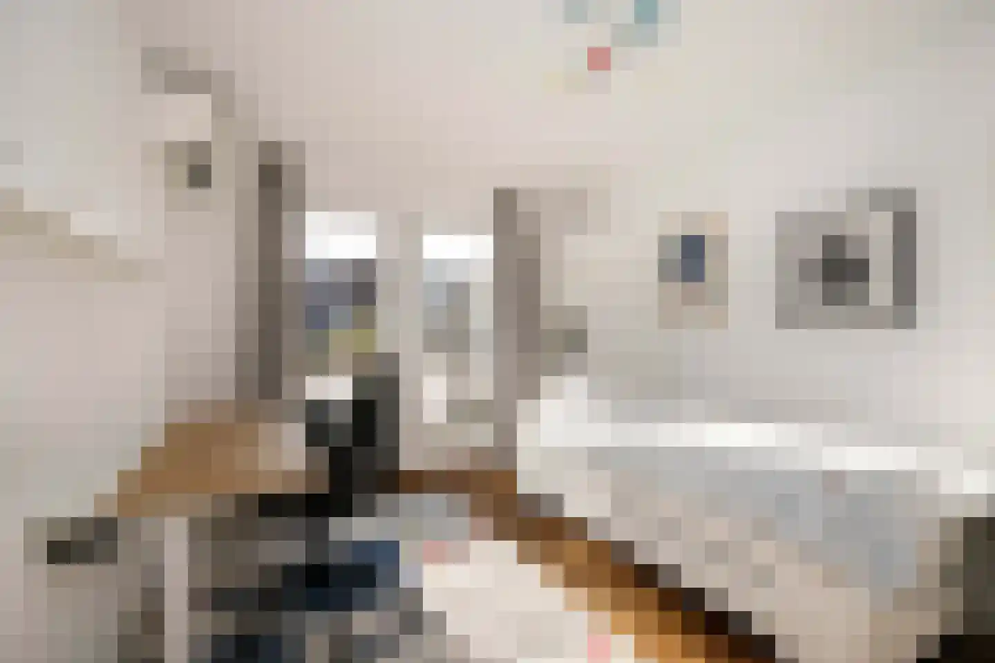 Spoorstraat 40 Schoonhoven thumbnail 20