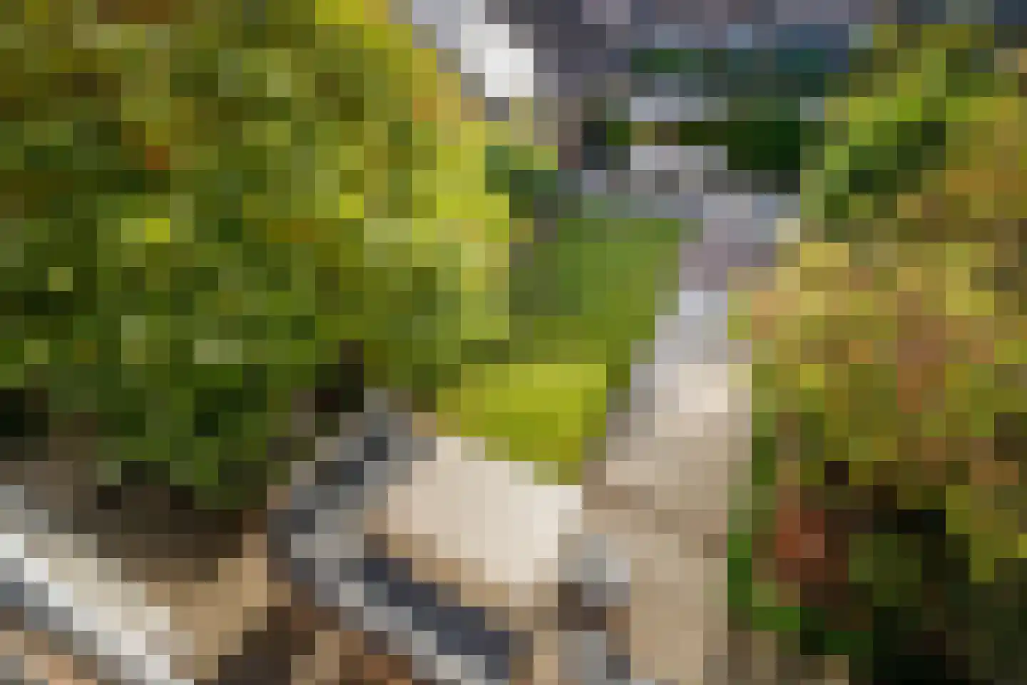 Spoorstraat 40 Schoonhoven thumbnail 23