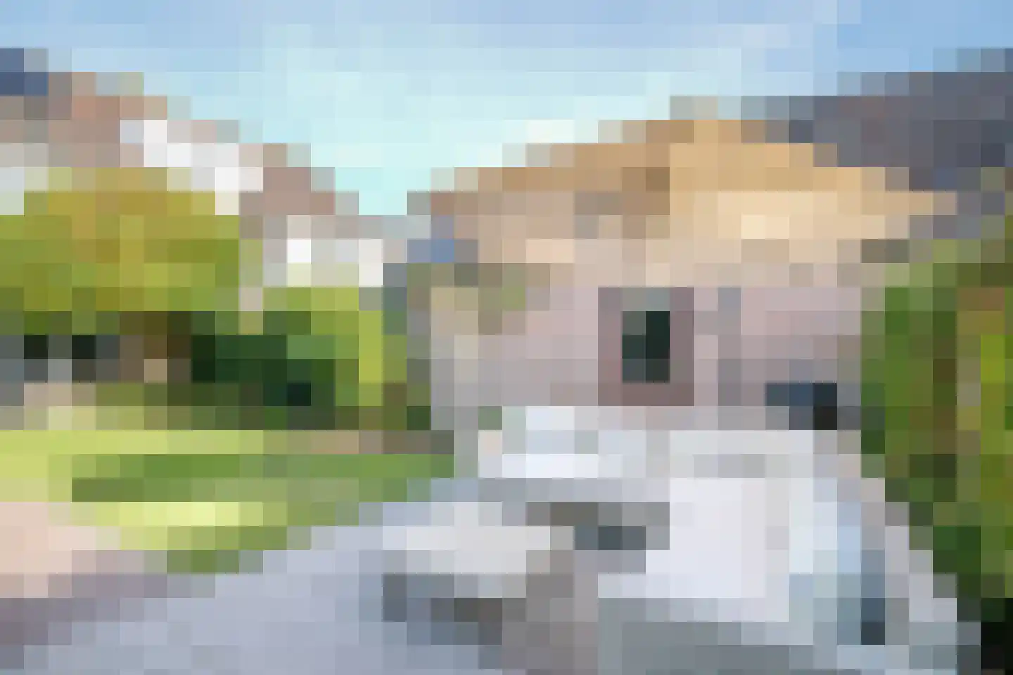 Spoorstraat 40 Schoonhoven thumbnail 35