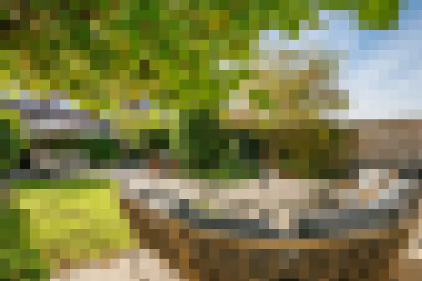 Spoorstraat 40 Schoonhoven thumbnail 37