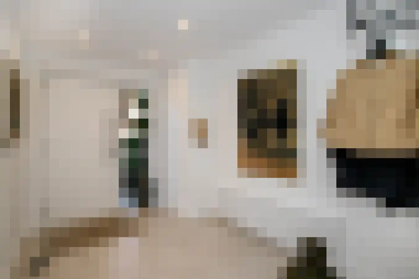 Spoorstraat 40 Schoonhoven thumbnail 6