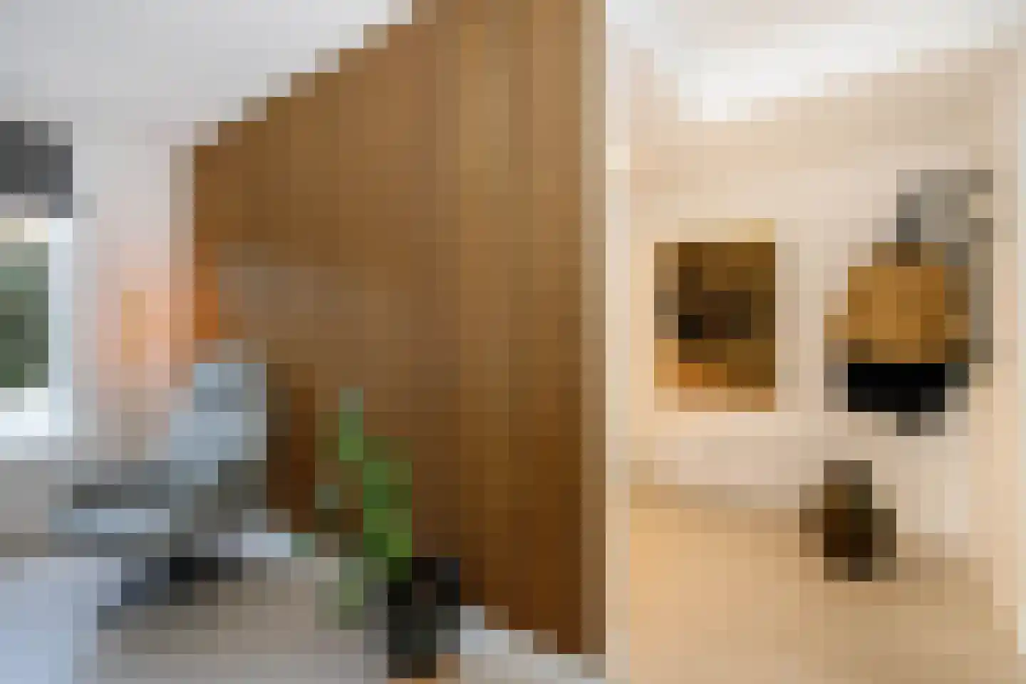 Spoorstraat 40 Schoonhoven thumbnail 7