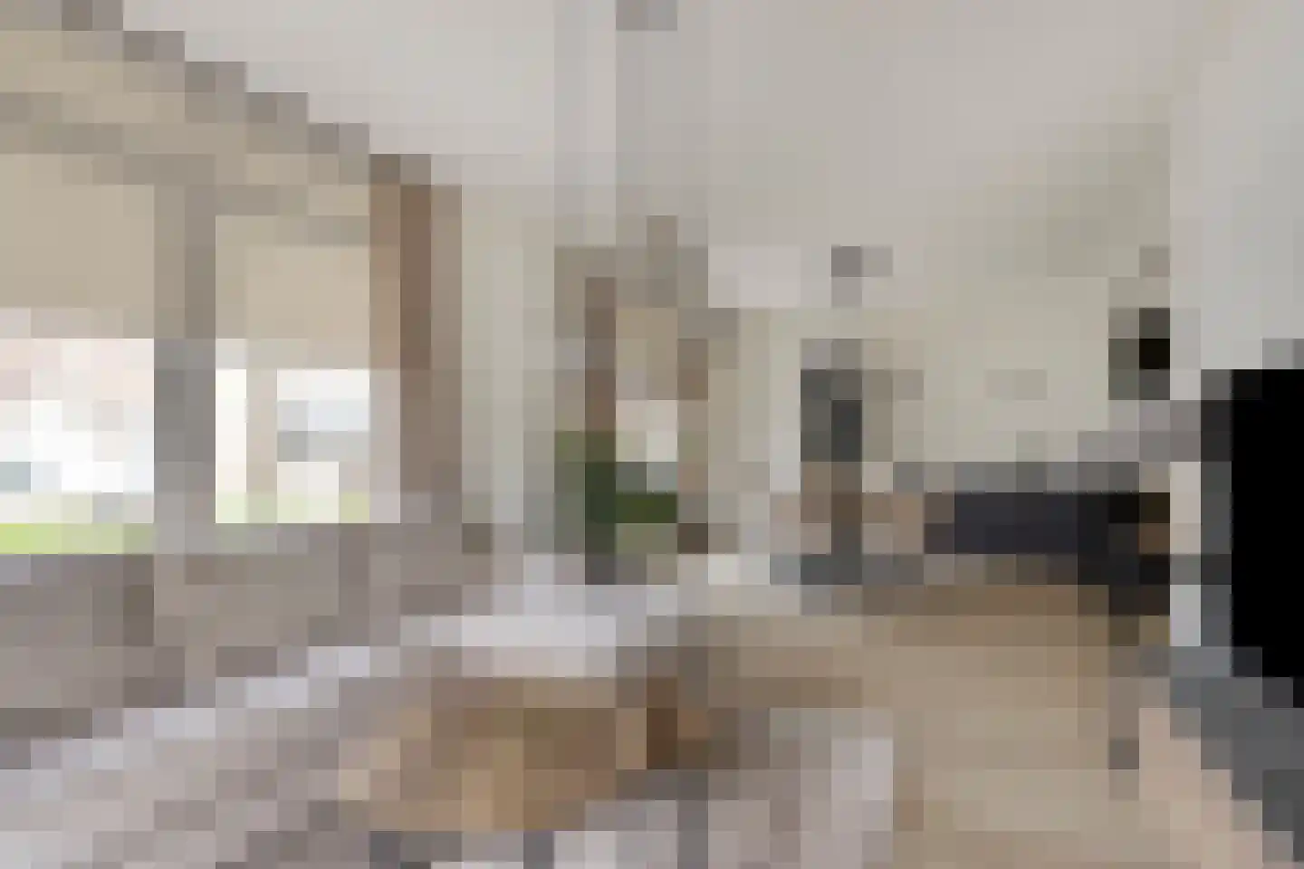 Spoorstraat 42 Zegge thumbnail 12