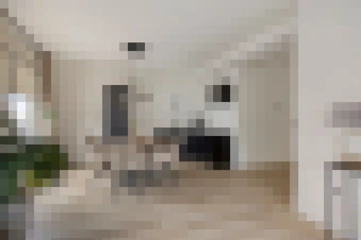 Spoorstraat 42 Zegge thumbnail 13