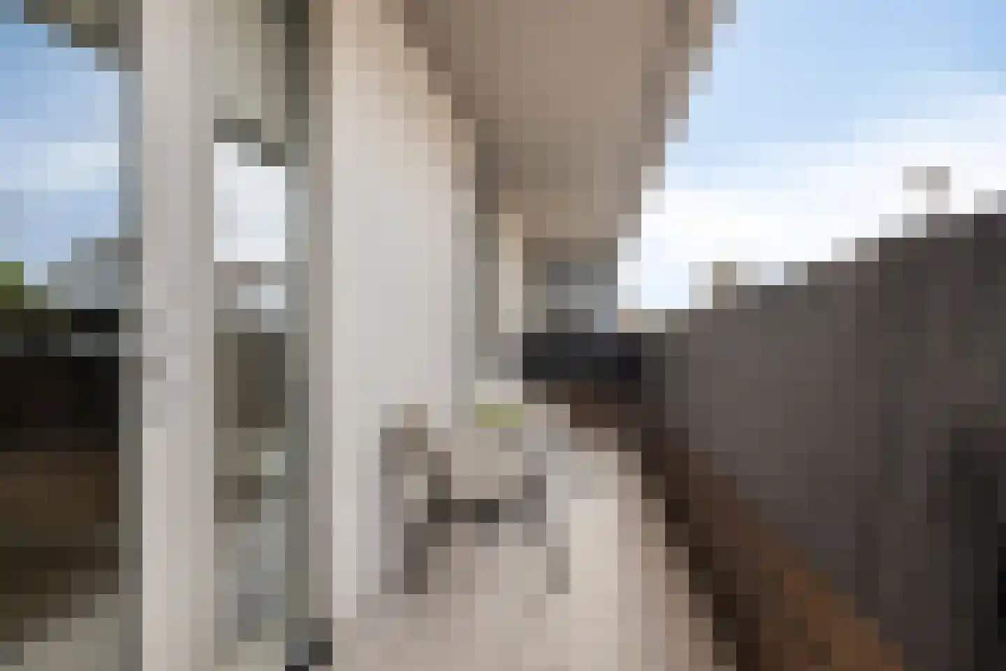 Spoorstraat 42 Zegge thumbnail 21
