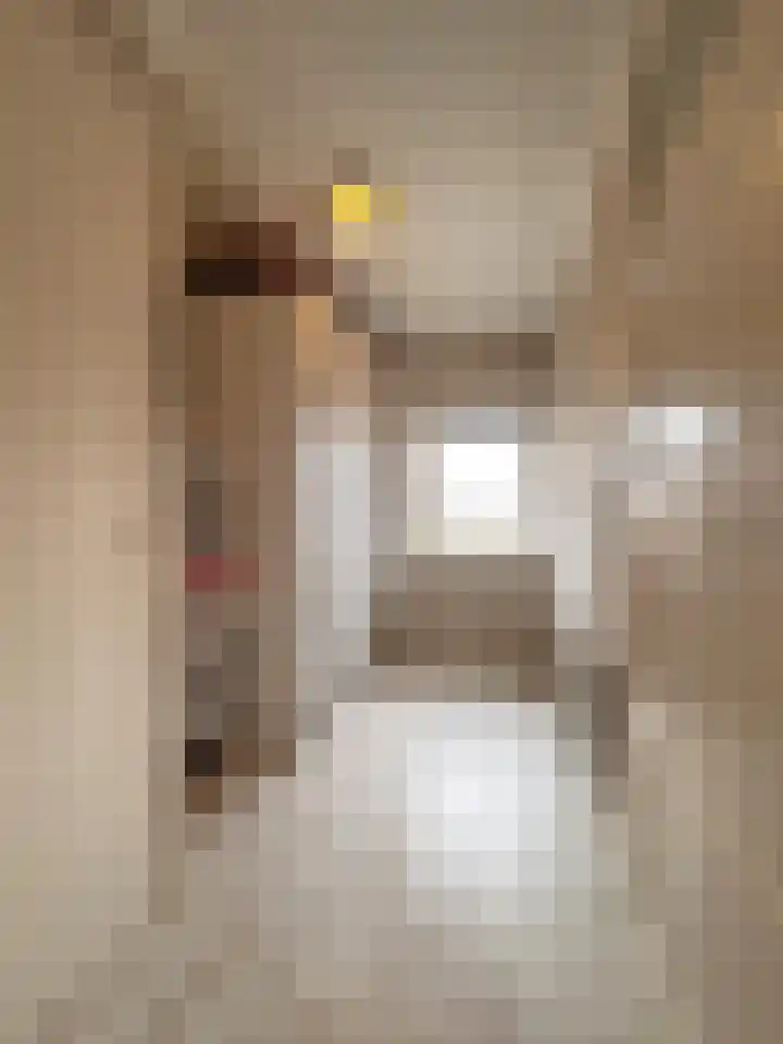 Spoorstraat 43 Sluiskil thumbnail 12