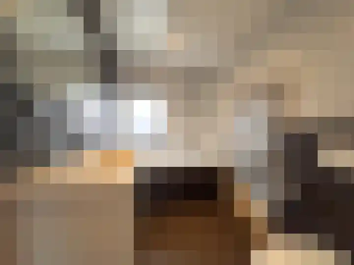 Spoorstraat 43 Sluiskil thumbnail 15
