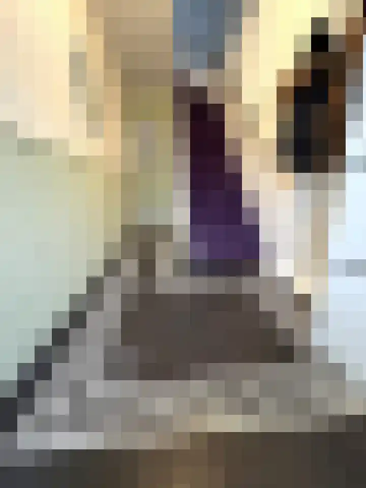 Spoorstraat 43 Sluiskil thumbnail 9
