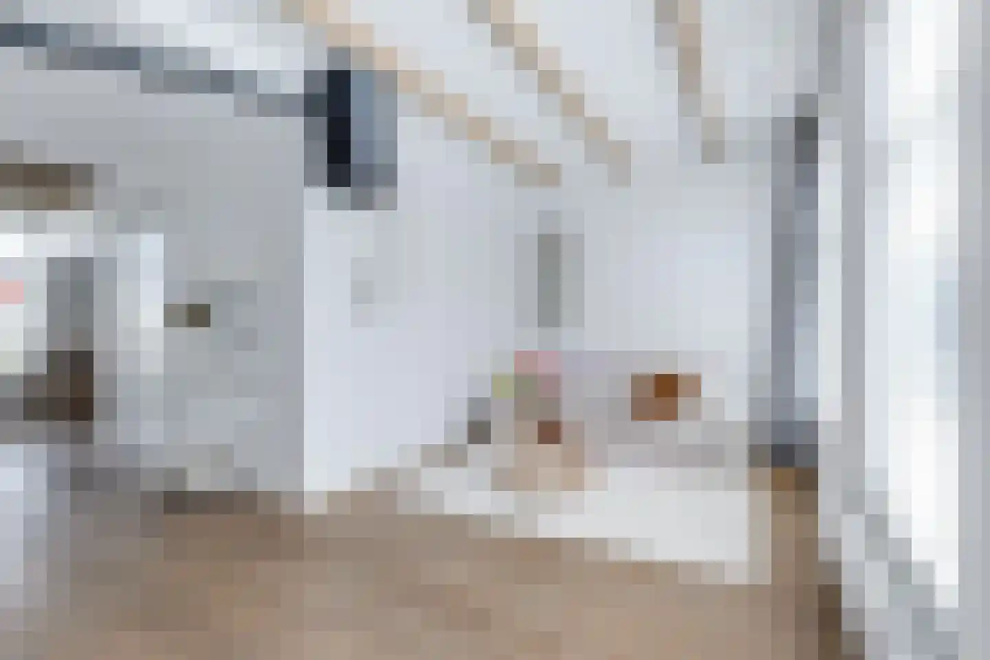 Spoorstraat 44 A Alkmaar thumbnail 14