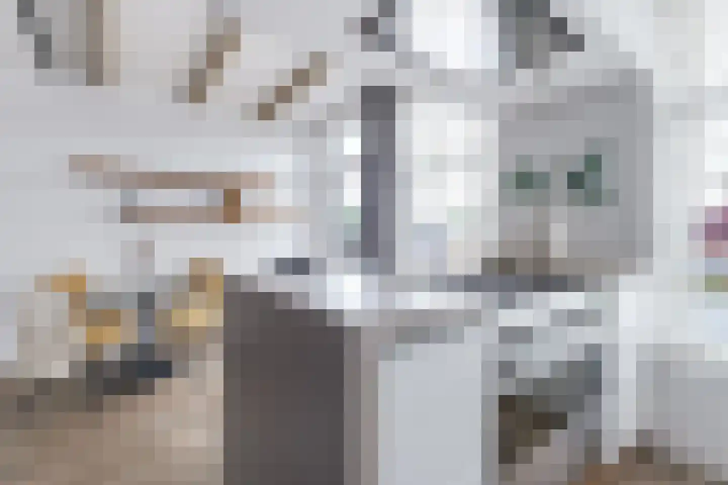 Spoorstraat 44 A Alkmaar thumbnail 22