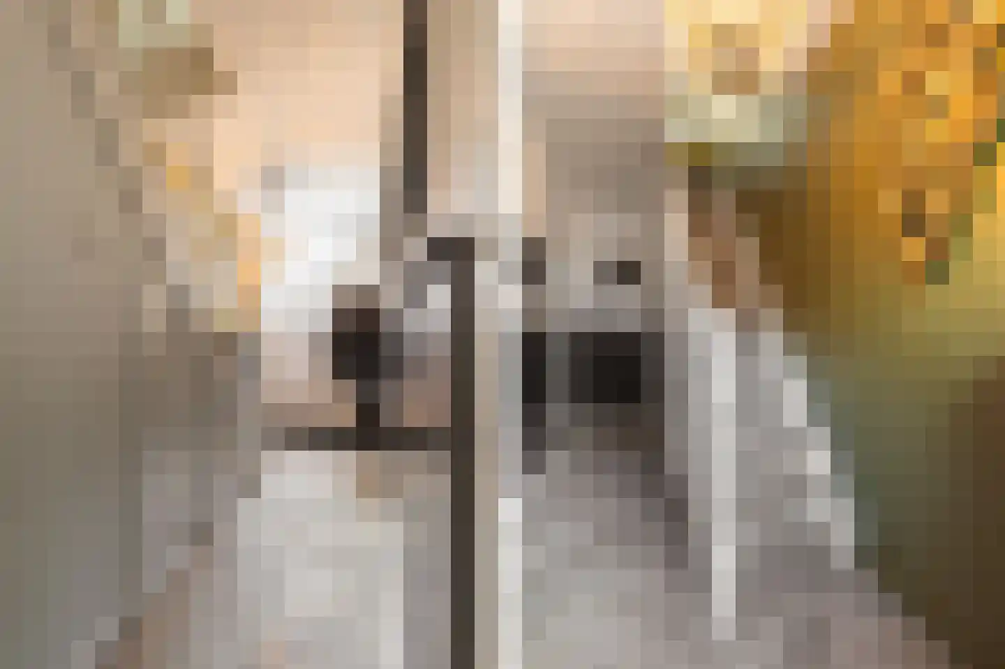 Spoorstraat 46 Alkmaar thumbnail 29