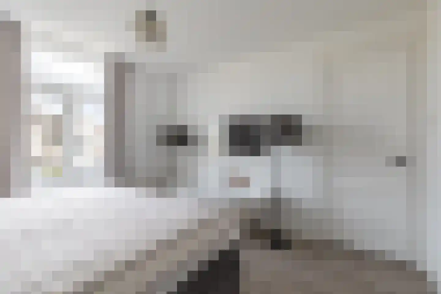 Spoorstraat 46 Alkmaar thumbnail 32