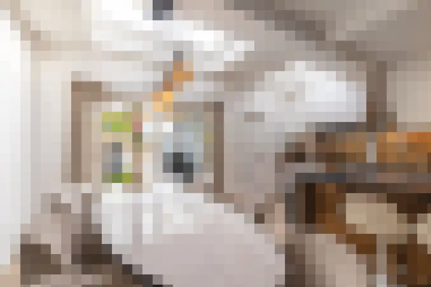 Spoorstraat 46 Alkmaar thumbnail 4