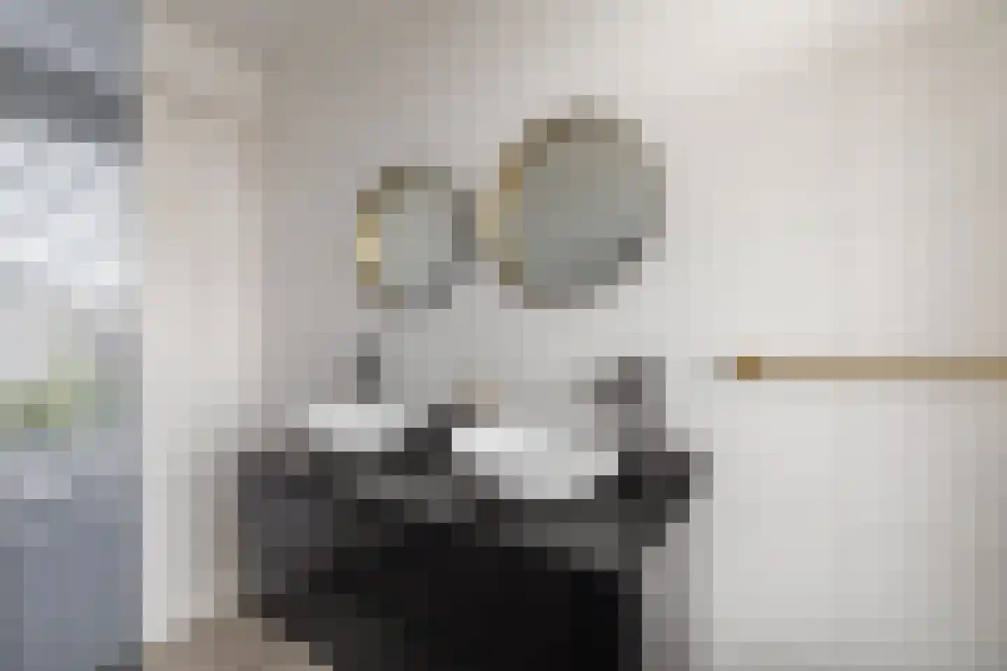 Spoorstraat 46 Alkmaar thumbnail 42