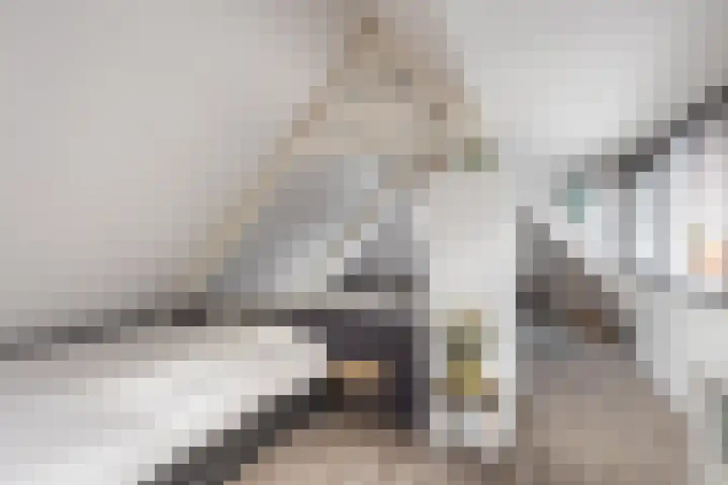 Spoorstraat 46 Alkmaar thumbnail 47