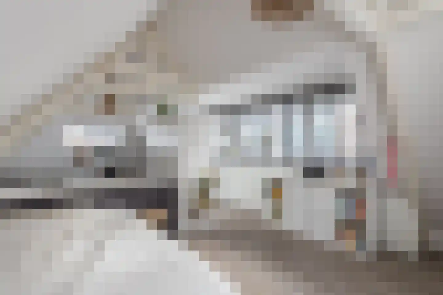 Spoorstraat 46 Alkmaar thumbnail 48