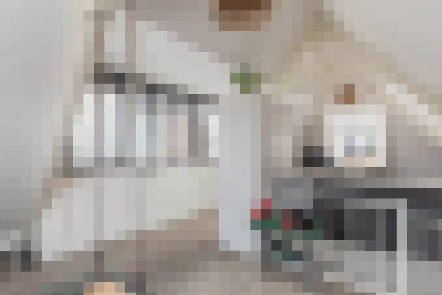 Spoorstraat 46 Alkmaar thumbnail 52