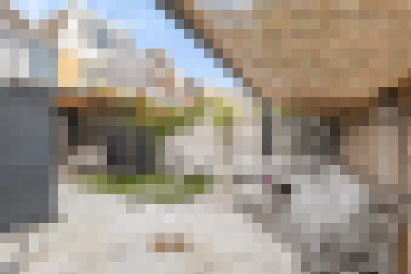 Spoorstraat 46 Alkmaar thumbnail 55