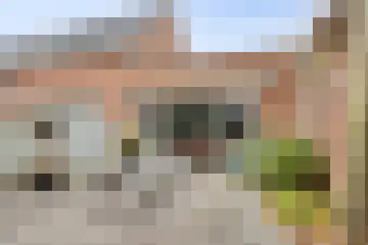 Spoorstraat 46 Roelofarendsveen thumbnail 18