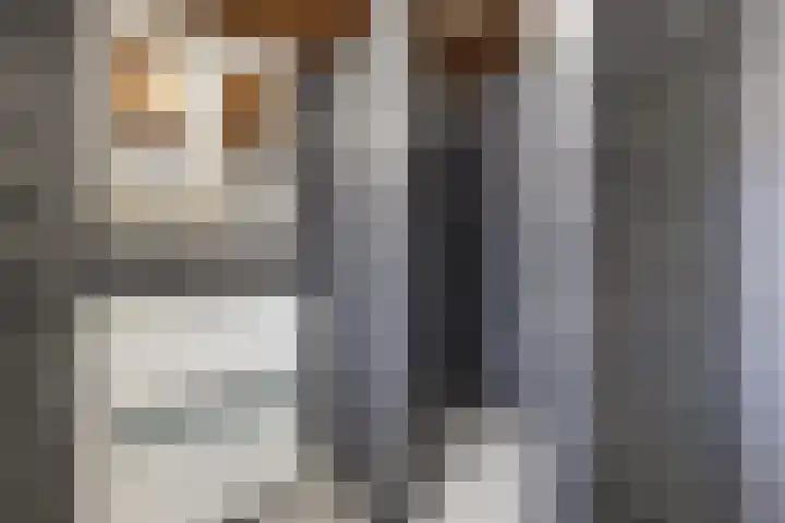 Spoorstraat 47 Dorst thumbnail 28