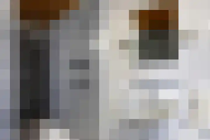 Spoorstraat 47 Dorst thumbnail 29