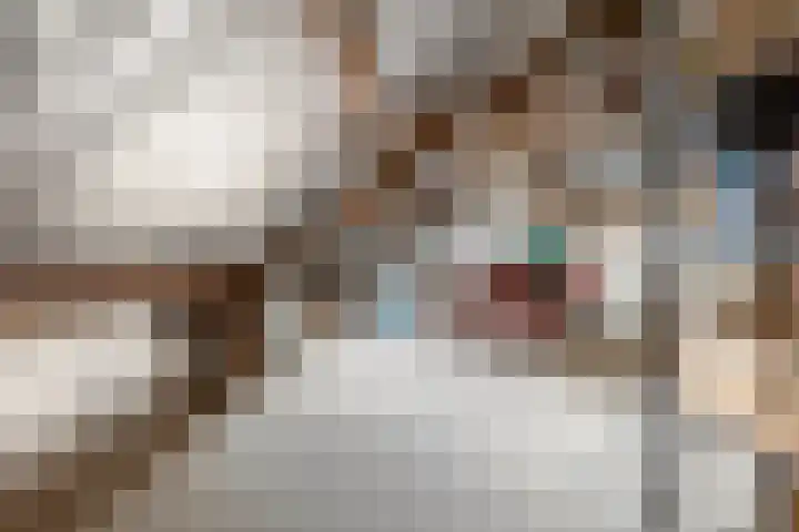Spoorstraat 47 Dorst thumbnail 30