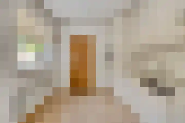 Spoorstraat 47 Dorst thumbnail 45