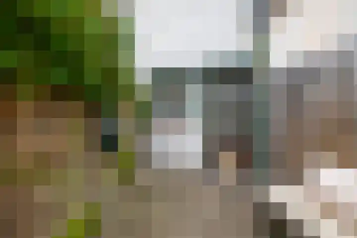 Spoorstraat 47 Tegelen thumbnail 18
